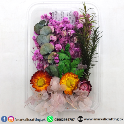 Real Dry Flower Box Pack (BP137)