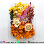 Real Dry Flower Box Pack (BP136)