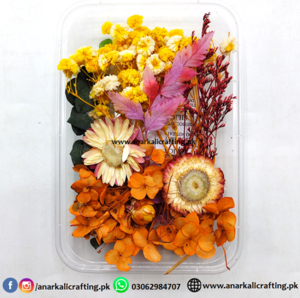 Real Dry Flower Box Pack (BP136)