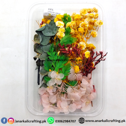 Real Dry Flower Box Pack (BP135)
