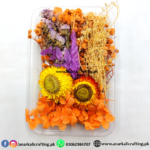 Real Dry Flower Box Pack (BP133)