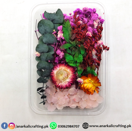 Real Dry Flower Box Pack (BP131)